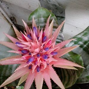 Meet your Posher, Kimberley